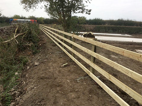 Boundary Fence